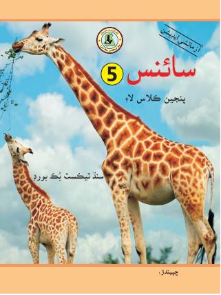 Science V — Class 5 Sindh Board book title page